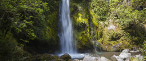 Dawson Falls Mount Taranaki